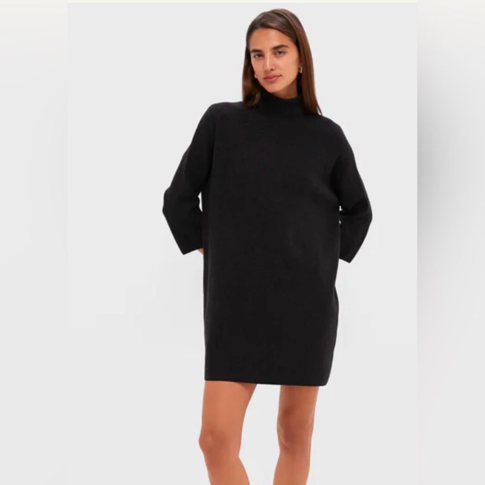 Pomander Place Black Turtleneck Dress